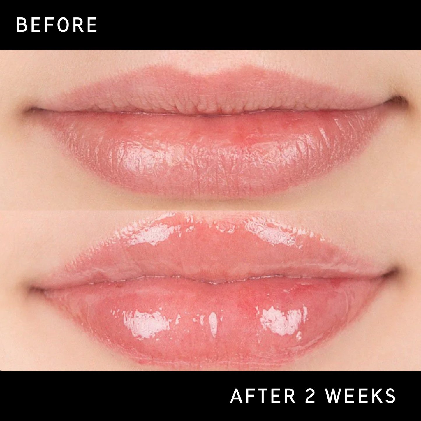 lip-plumping-duo-s2 DTC-Top15_Amends_Tripeptide-Lip_B_A.jpg